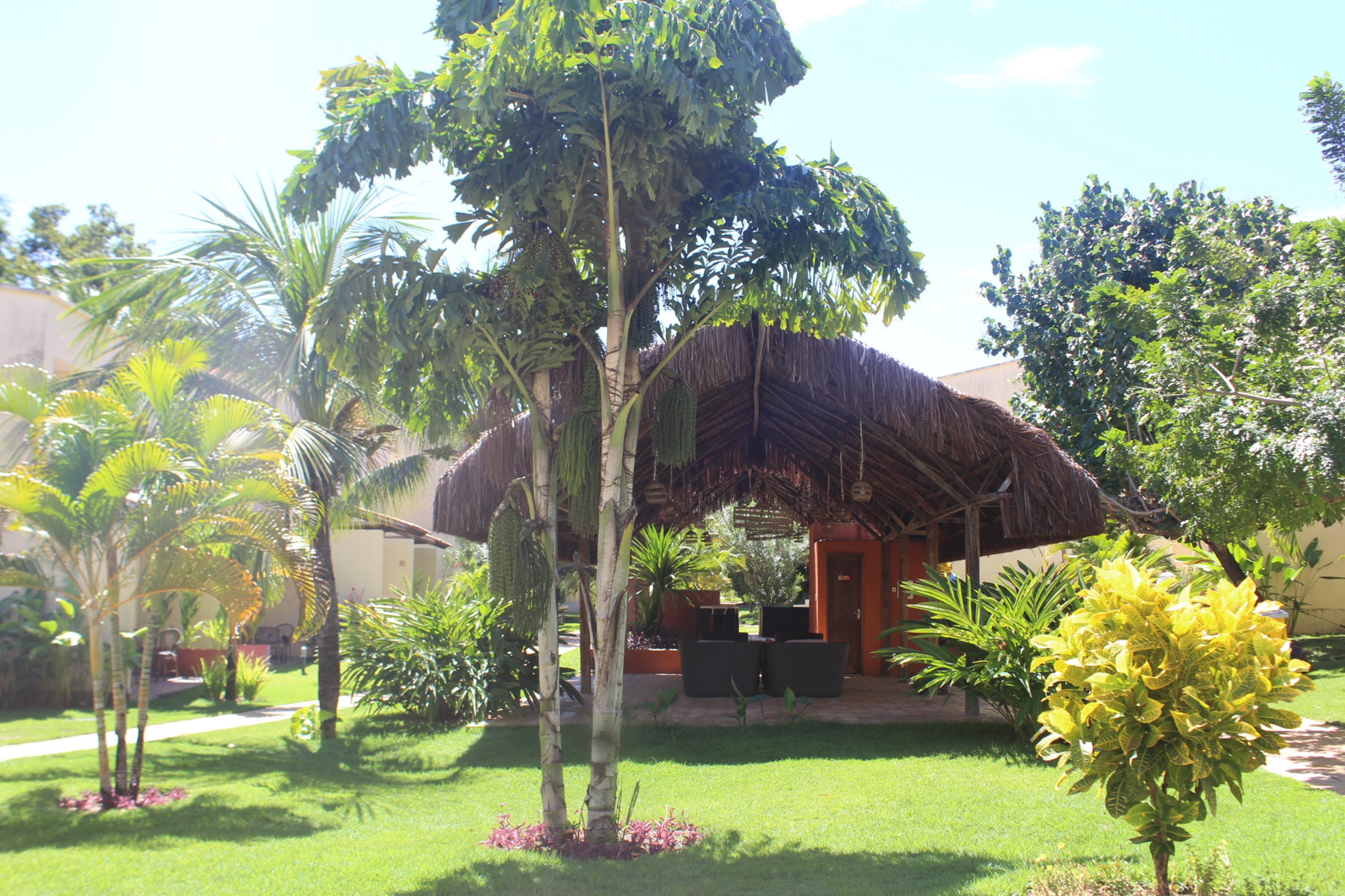 Hotel Pipa Atlantico Praia de Pipa Eksteriør bilde
