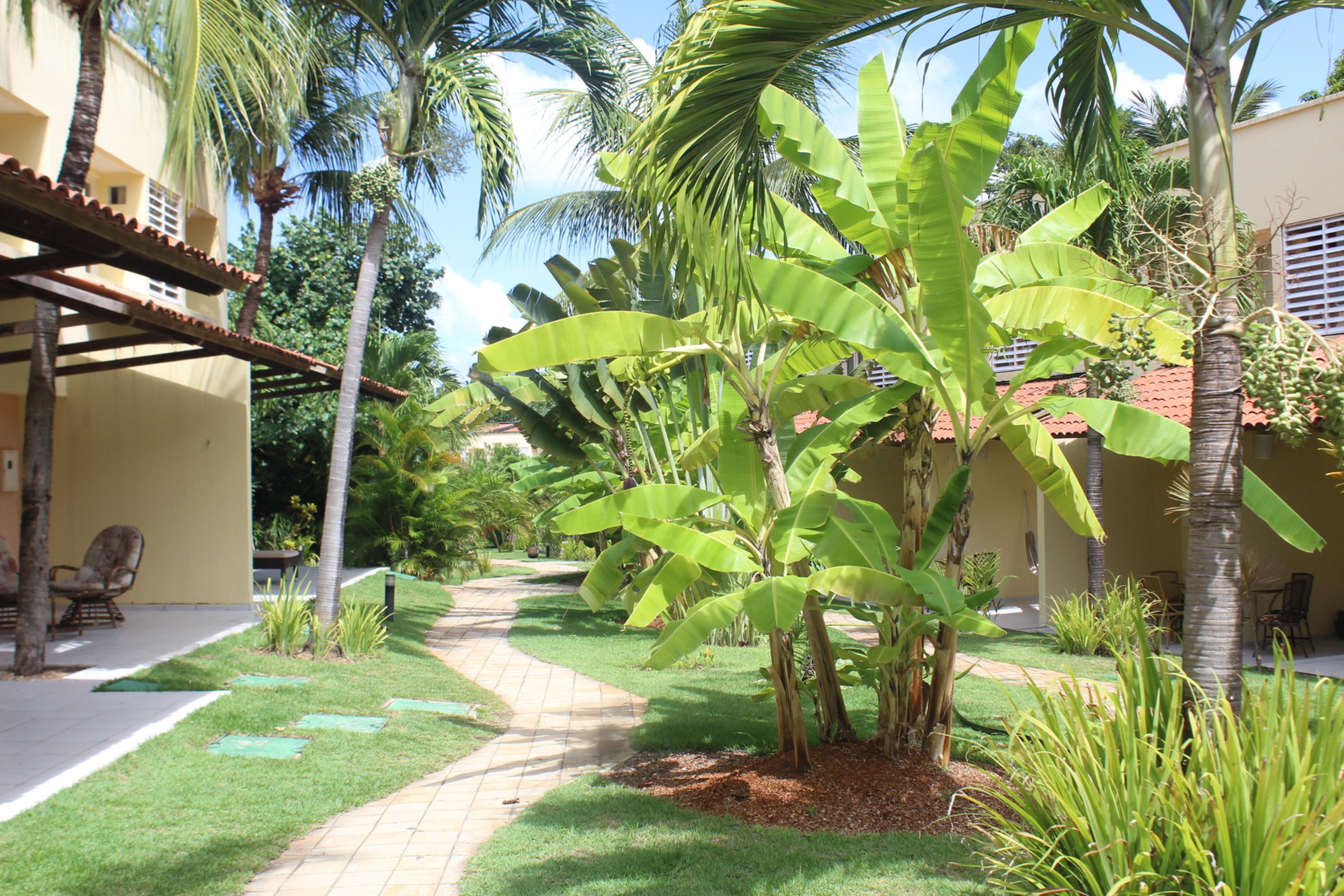 Hotel Pipa Atlantico Praia de Pipa Eksteriør bilde