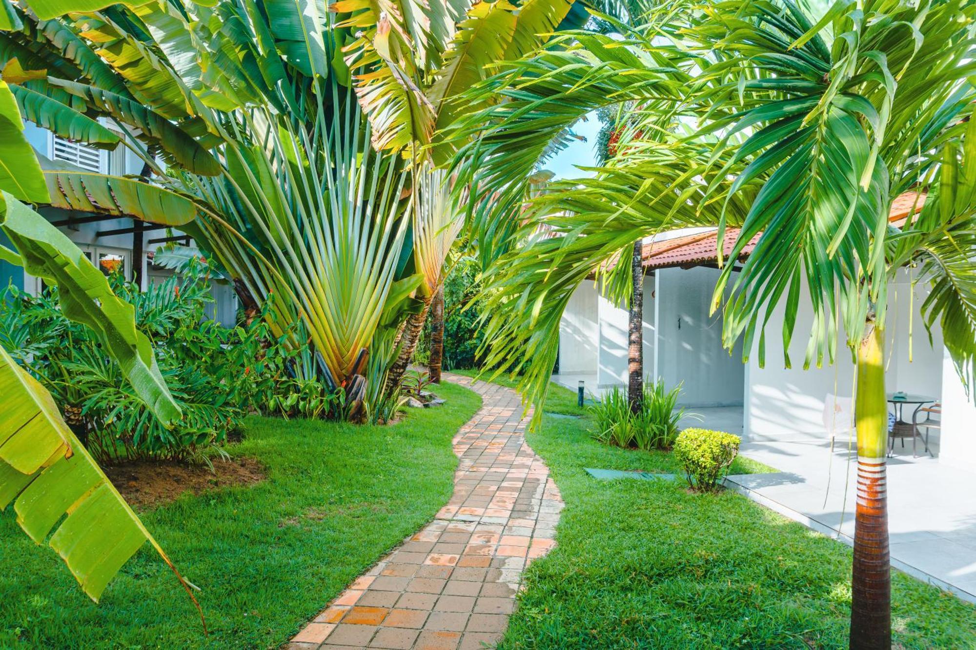 Hotel Pipa Atlantico Praia de Pipa Eksteriør bilde